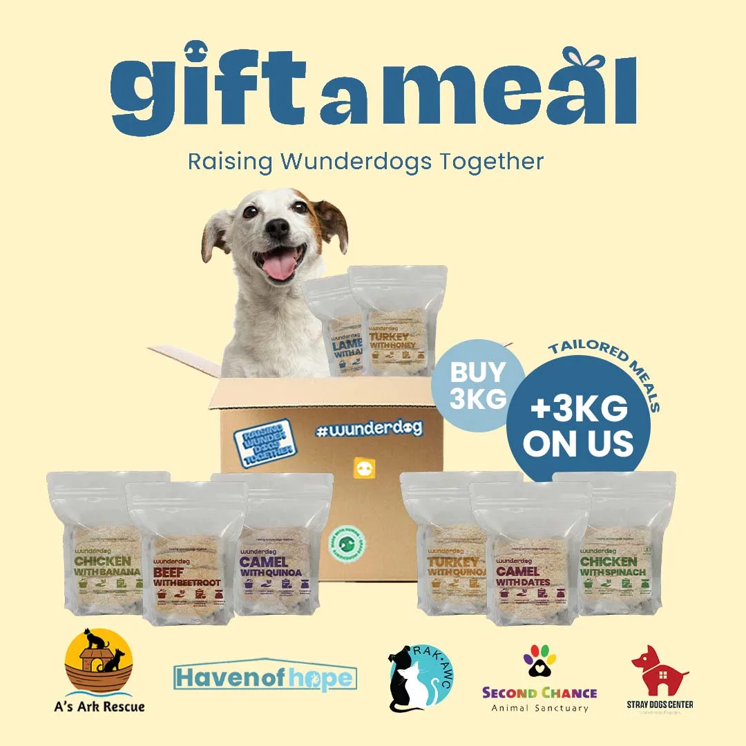 Gift a Meal — sponsor fresh food for a rescue dog