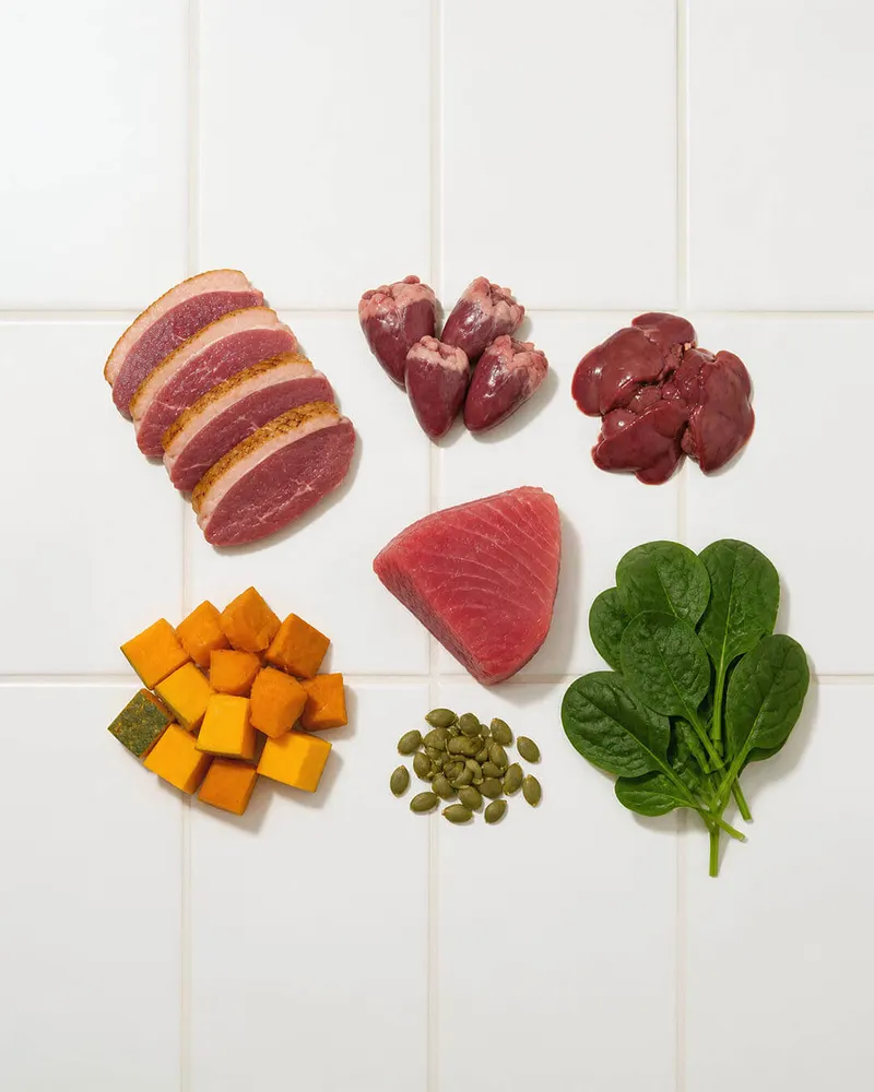Fresh raw ingredients: muscle meat, organs, fish, pumpkin and pumpkin seeds